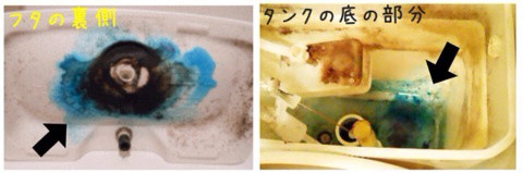 {C393E1DC-FD1F-4427-BC68-5D0171F098B2:01}