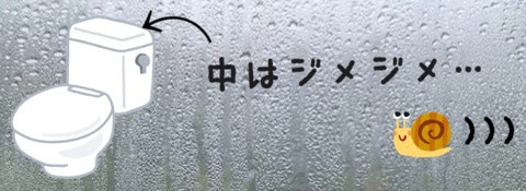 {F4150E9C-8509-4374-94C2-B037FE55C91D:01}