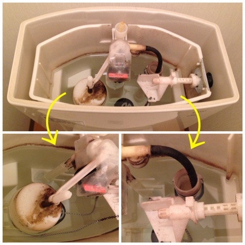 {88DC15EA-5BE7-497B-9223-AD3FCA673335:01}