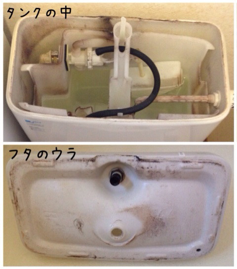 {FFDDDEBB-4EDE-4F79-BE8B-D566F641C49D:01}