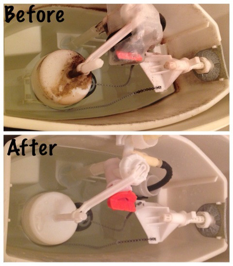 {DE8D971A-28D1-42C7-8DC3-47966C231A28:01}