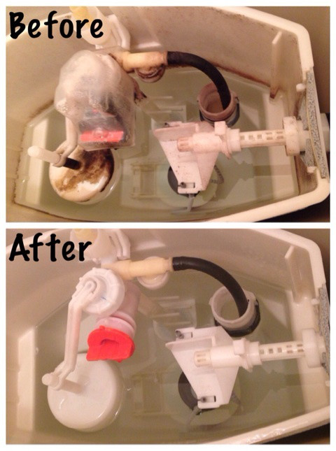 {95561654-DF73-46A5-A75E-555AA23ADFF3:01}