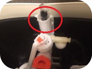 トイレタンクの中を見たら掃除をしたくなる理由とその手順