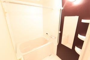 重曹 クエン酸 掃除 風呂