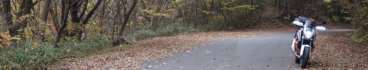 programmer´s real life and so on