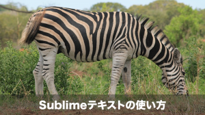 sublimeテキストの使い方