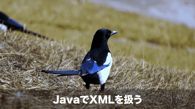 java xml