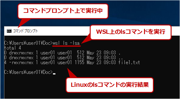 WSL��̃R�}���h�̎��s